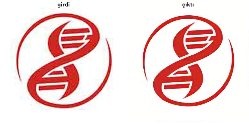 Çözünürlüğü artırılmış Evrim Ağacı logosu