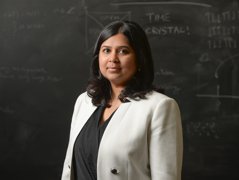 Stanford Üniversitesi'nde bir yoğunlaşmış madde fizikçisi olan Vedika Khemani