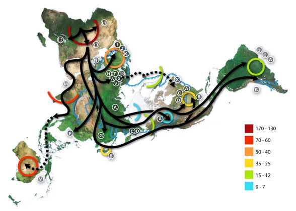 Dymaxion haritası kullanarak insanların dağılışının gösterimi