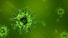 Evrim Mekanizmaları - 12: Virüsler (Bakteriyofaj)