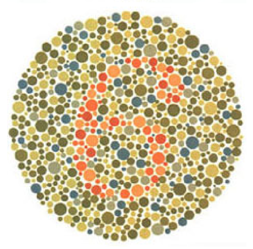 Plaka 11: Normal görüşlüler 6 görürler, kırmızı-yeşil renk körleri hiçbir sayı görmez veya bir sorun olduğunu düşünürler.