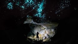 Waitomo Mağaraları: Biyolüminesan Sivrisinek Larvalarının Şölene Çevirdiği Bir Doğa Harikası!