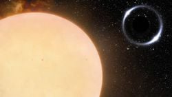 Astrofizikçiler Dünya'ya En Yakın Kara Deliği Keşfettiler