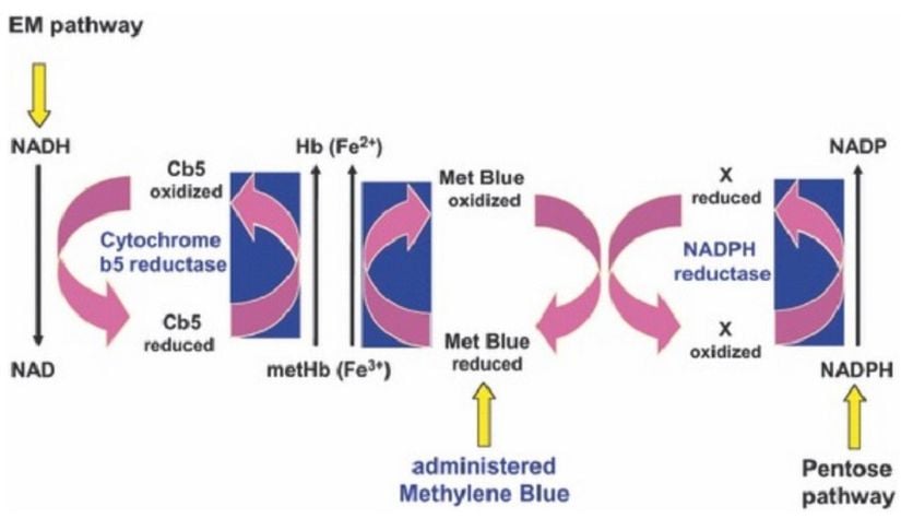 Sitokrom b5 redüktaz enzimi ve metilen mavisinin, methemoglobinin redüksiyonundaki rolünü şematize eden görsel.